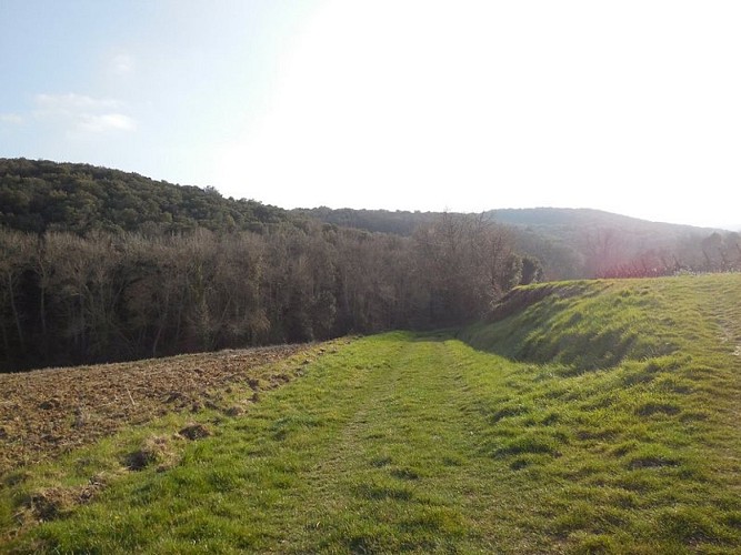 Malepère Trail
