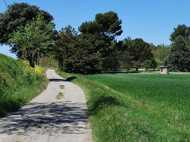 Malepère Trail
