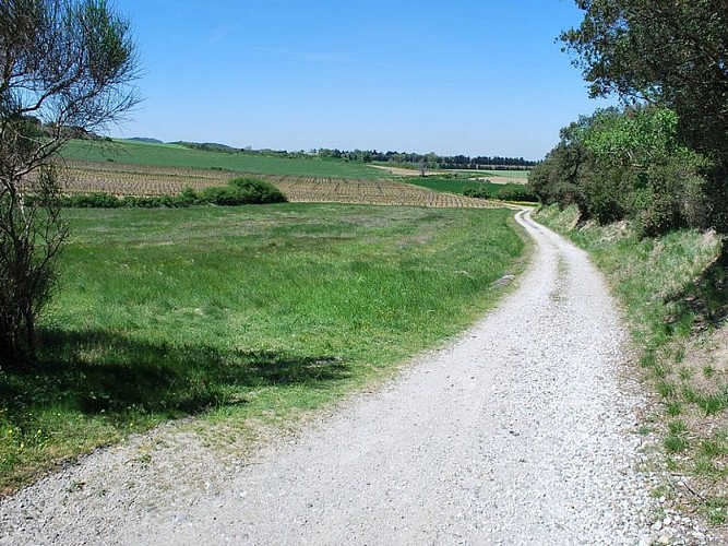 Malepère Trail