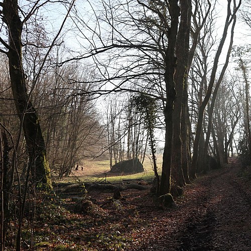 Le chemin avant le château de Montagny