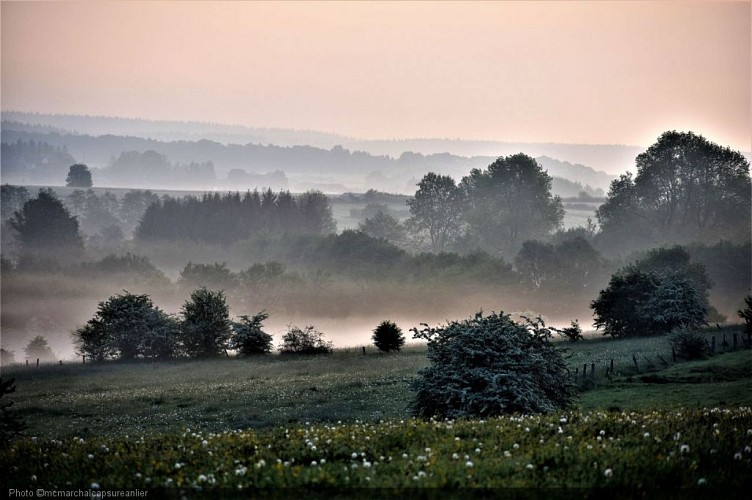 Brumes d'Ardenne.JPG