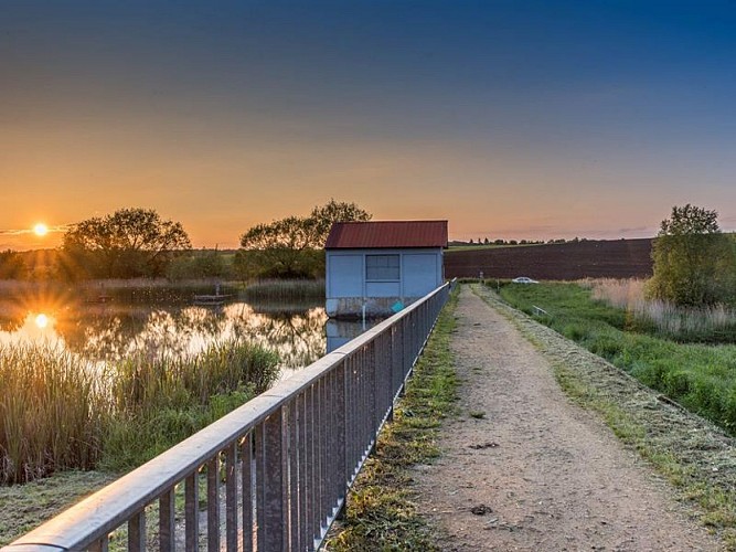 Étang des Marais de Rémering-lès-Puttelange