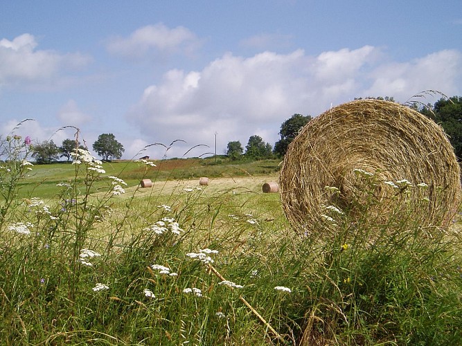 botte de foin-paysage-©oti DG