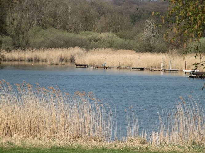 Étang des Marais de Rémering-lès-Puttelange