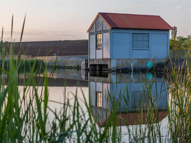 Étang des Marais de Rémering-lès-Puttelange