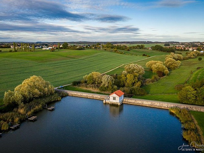 Étang des Marais de Rémering-lès-Puttelange