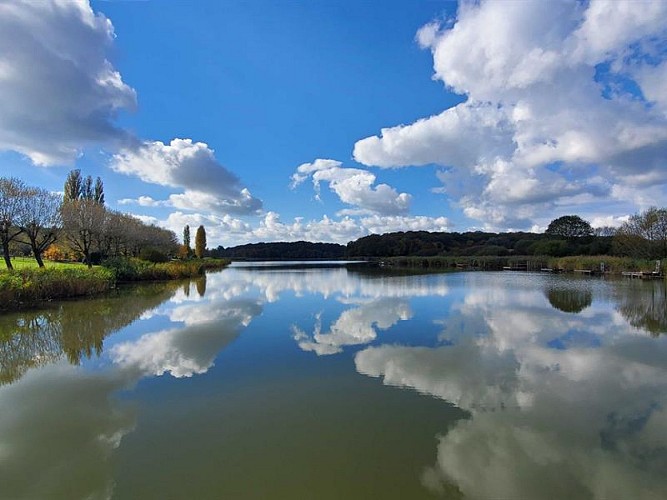 Étang des Marais de Rémering-lès-Puttelange