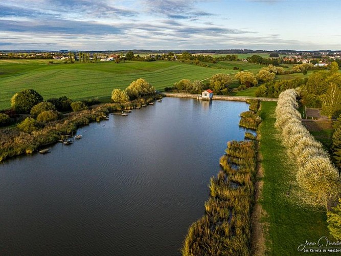 Étang des Marais de Rémering-lès-Puttelange