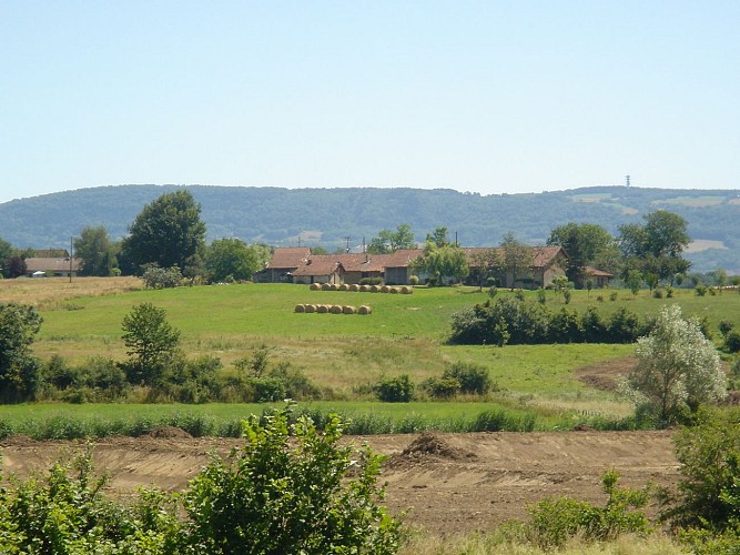 paysage bresse revermont