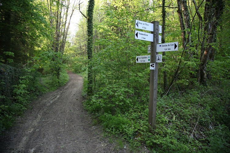 Circuit trail n°2 - Entre ciel et terre