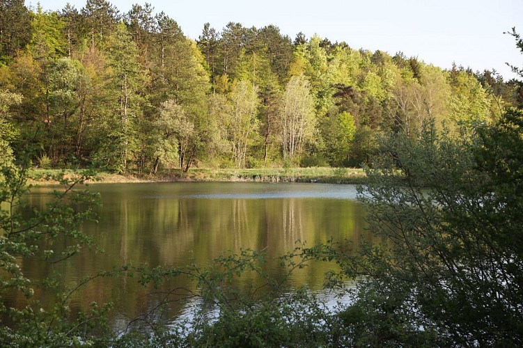 Circuit n°4 - Entre ciel et terre