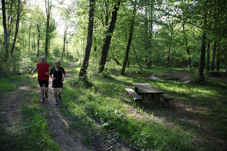 Circuit n°4 - Entre ciel et terre