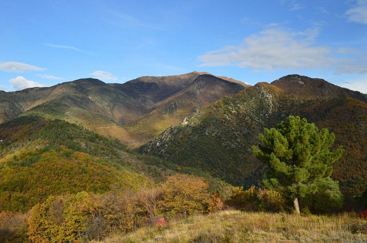 Mercantour depuis le Mont Agaisen