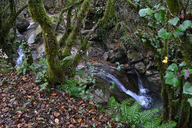 Cascade du Vallon de la Fighetta