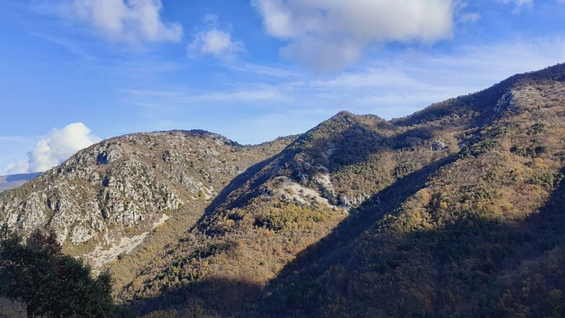 Le Cuore et le Pas de Cuore