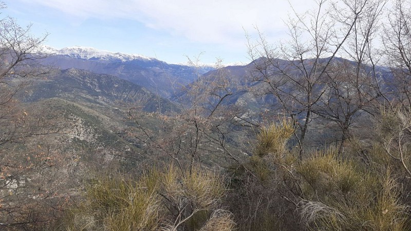Vallée de la Roya depuis le Cuore