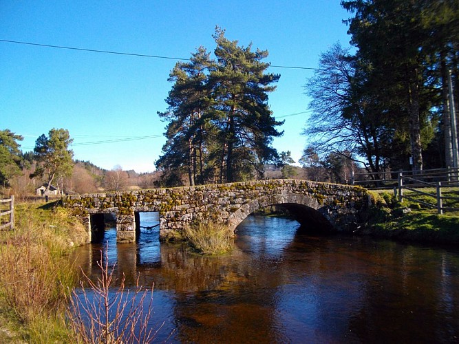 Pont sur la Vienne - Peyrelevade_2