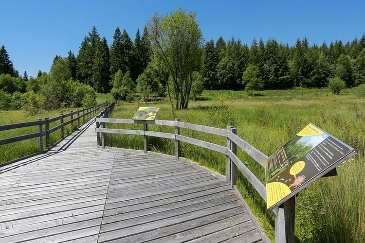 Le sentier de la tourbière du Col de la Blanche
