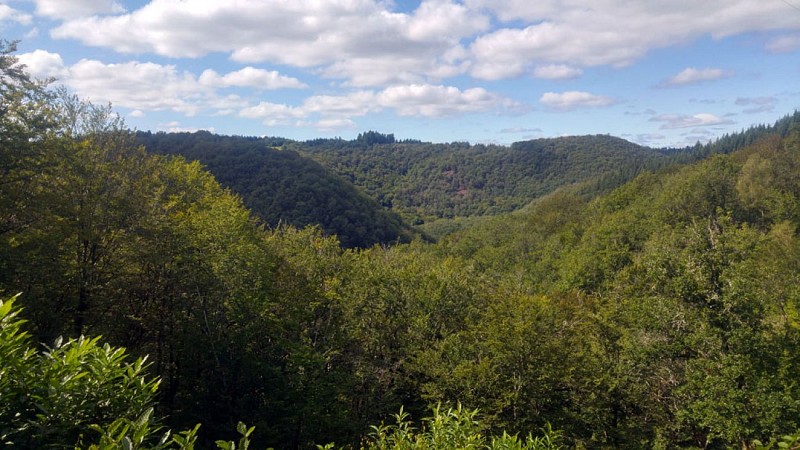 Sentier des charbonniers