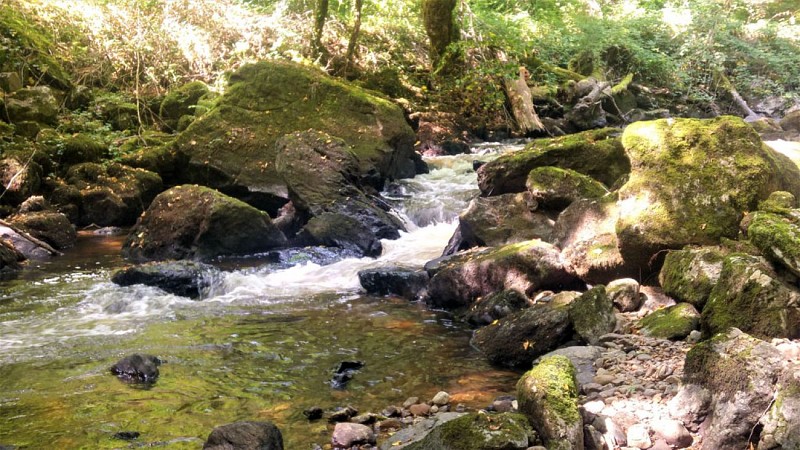 Sentier des charbonniers
