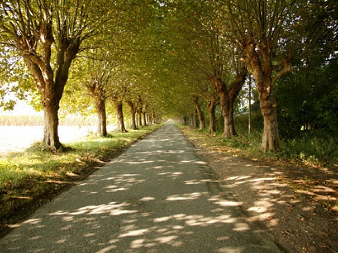 circuit " Les coteaux de la Chapelle- Longueville"