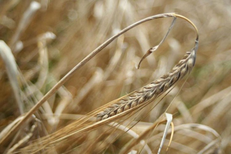 circuit " la Vallée Bance"