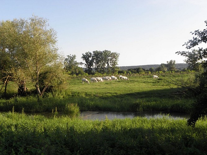 circuit " la Vallée Bance"