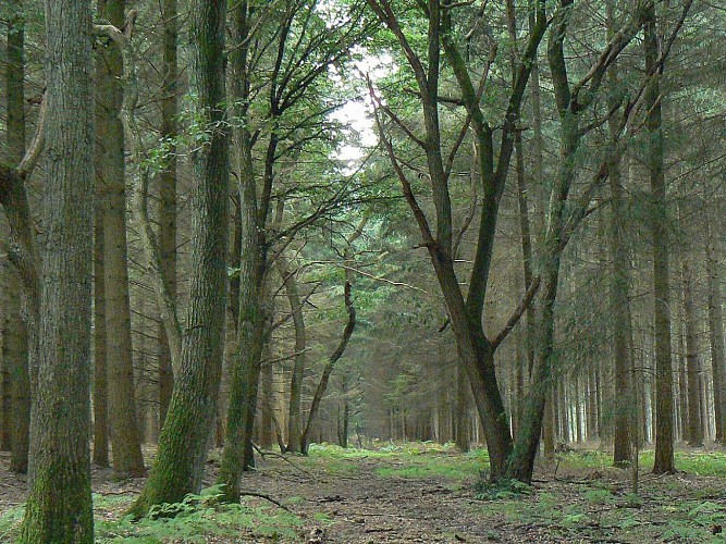 circuit "Le Catenai"