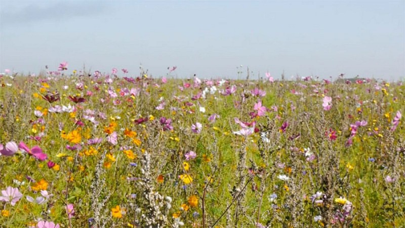 circuit des Coteaux de Giverny