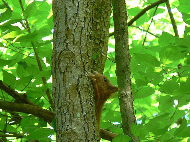 circuit des Coteaux de Giverny