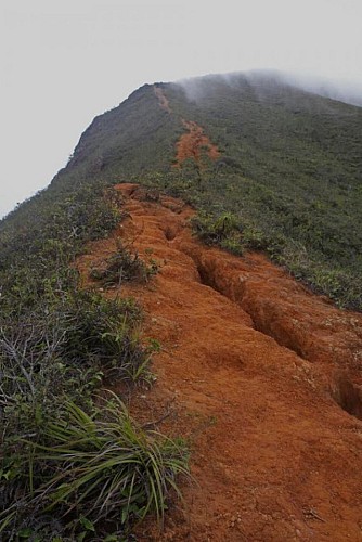 Escalade du Pic Malaoui par la route de Yahoué