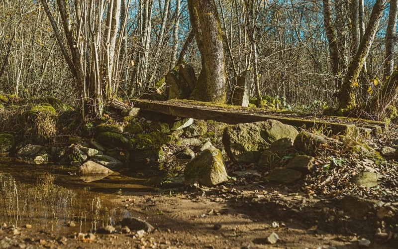 Pont le battoir