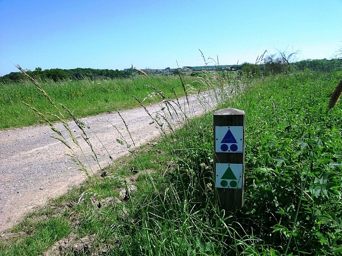 Mountainbike bewegwijzering - Les Hauts de Cerfontaine