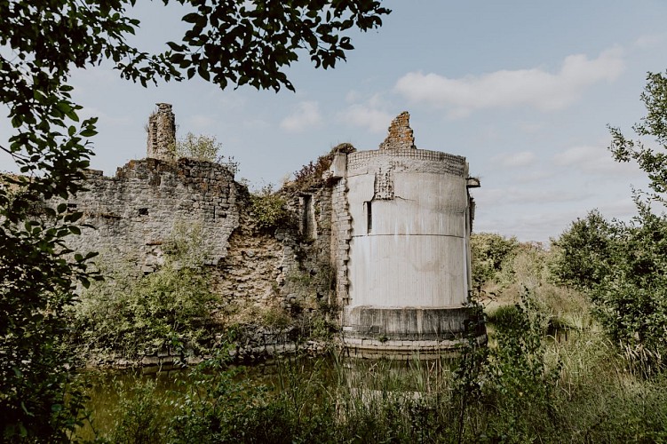 Ruines du château de Fagnolle à Philippeville