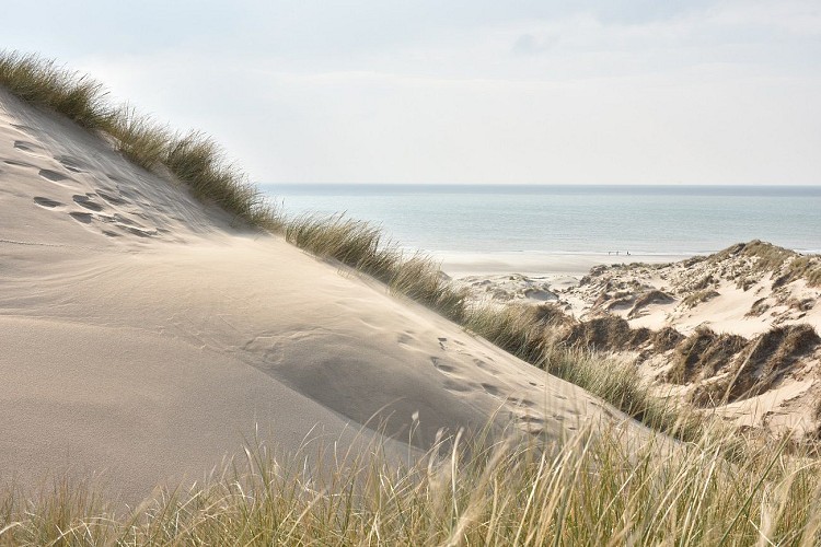 GR120 oder Der Küstenweg (von der Belgischen Küste bis Gravelines)
