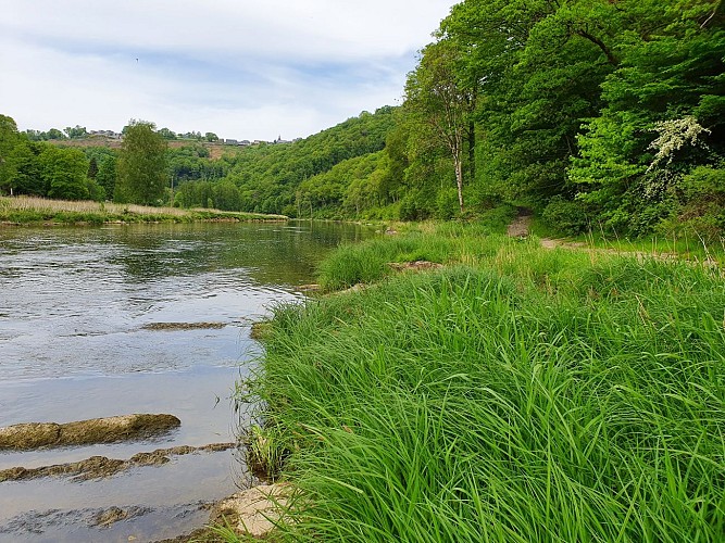 Frahan Gué du Moulin mai 2020 AV (6)