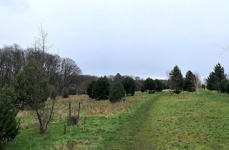 Bois de Lauzelle à Ottignies - Val et Oli