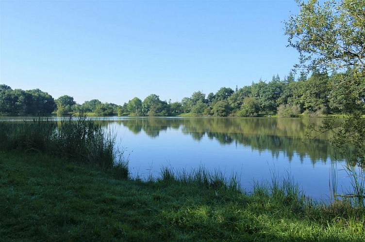Circuit de la Forêt de Longuenée