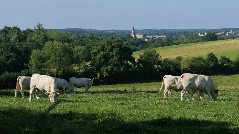 Circuit de la Burelière