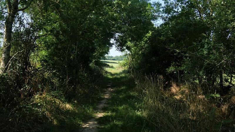 Circuit de la Burelière
