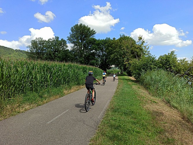 Circuit de l’ancien chemin du tram : les voies vertes à vélo