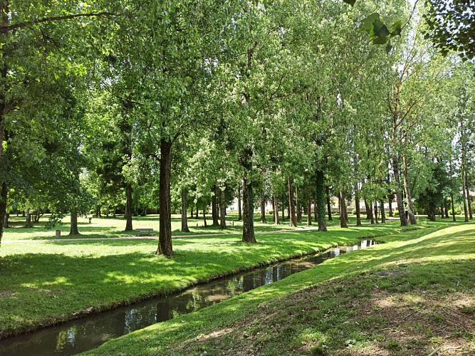 Circuit de l’ancien chemin du tram : les voies vertes à vélo