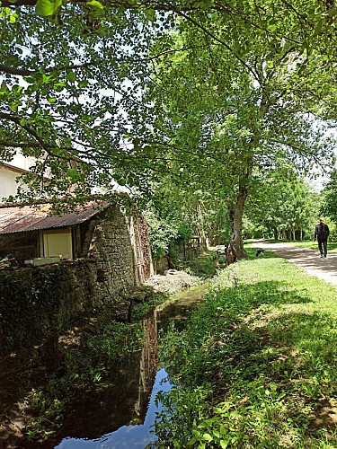 Circuit de l’ancien chemin du tram : les voies vertes à vélo