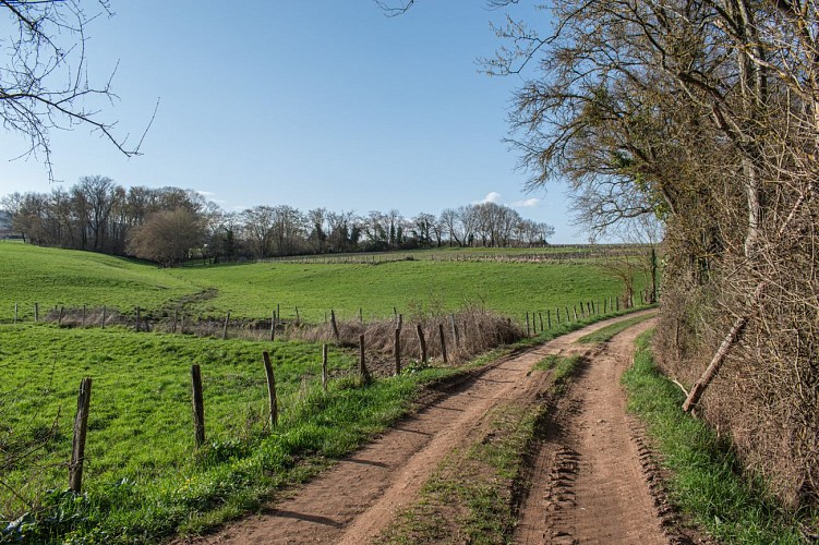 Porte des Pierres Dorées - Beaujolais - Jarnioux_Porte des Pierres Dorées