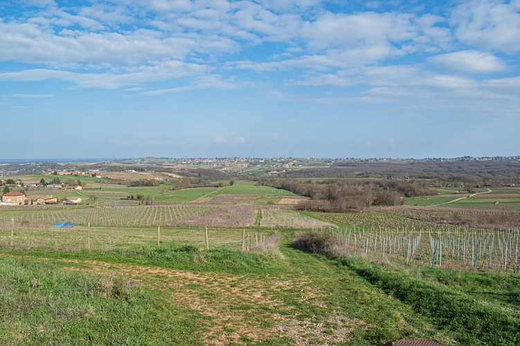 Porte des Pierres Dorées  - Beaujolais - Jarnioux_Porte des Pierres Dorées
