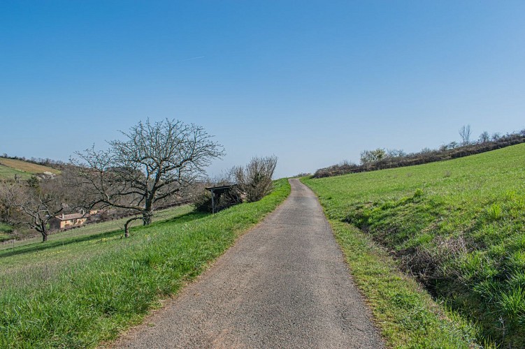 Porte des Pierres Dorées - Beaujolais - Jarnioux_Porte des Pierres Dorées