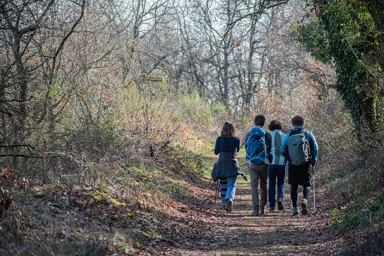 Les Pierres Dorées - Beaujolais - Jarnioux - Porte des Pierres Dorées_Porte des Pierres Dorées