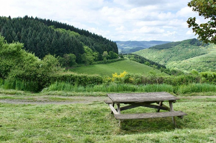 La forêt de la Cantinière - Beaujolais - Saint-Cyr-le-Châtoux_Saint-Cyr-le-Chatoux