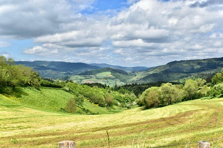 La forêt de la Cantinière - Beaujolais - Saint-Cyr-le-Châtoux_Saint-Cyr-le-Chatoux