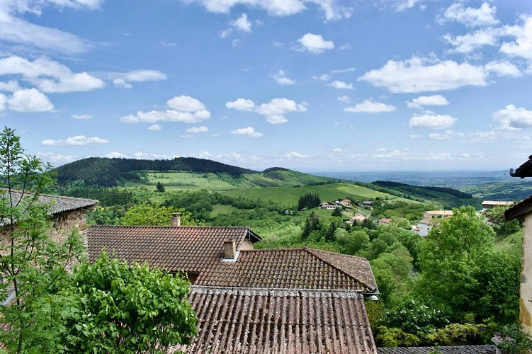 La forêt de la Cantinière - Beaujolais - Saint-Cyr-le-Châtoux_Saint-Cyr-le-Chatoux
